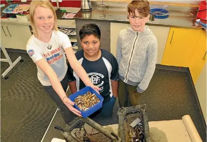  ??  ?? Jemma Allwood, 12, Ethan Neru, 11 and Harvey Butler,11, have been studying our storm water drains.