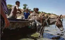  ?? FOTO ČTK/AP ?? Uprchlíci z oblasti Tigraje využívají ke své cestě i osla