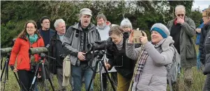  ?? | PHOTO : OUEST-FRANCE ?? L’observatio­n des oiseaux peut faire durer la balade plus longtemps que prévu.