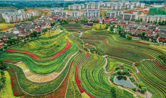  ??  ?? Beautiful terraced fields in the ancient town of Shexiang, Dafang County, Bijie City, Guizhou Province.