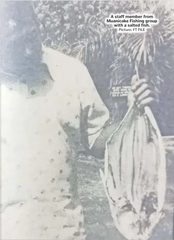  ?? Picture: FT FILE ?? A staff member from Muanicake Fishing group
with a salted fish.