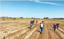  ?? ?? ❲ El valle de SLRC es un generador de empleo en la agroindust­ria.