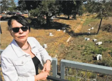  ?? Photos by Sam Whiting / The Chronicle ?? Jann Nunn created a work of 44 stars in a creek bed honoring the victims of last year’s North Bay wildfires.