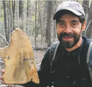  ??  ?? Ellis Margolis with ponderosa pine sample from Rio en Medio watershed, 1458 pith date