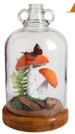  ??  ?? Paper sculptor Kate Kato recreates nature using recycled materials. Fungi sculpture in jar, from £310, Kasasagi