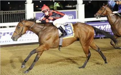  ??  ?? DOUBLE SEEKER. Nebula, winner of last year’s Algoa Cup over 2000m at Fairview, has been entered to run in this year’s race on Sunday, 29 October.