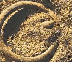  ?? PAMELA CONSTABLE / THE WASHINGTON POST ?? A rusted iron ring remains in the hangar long occupied
by Kaavan, recently relocated to Cambodia.