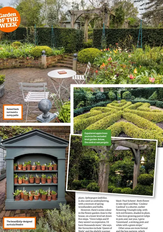  ??  ?? Raised beds surround a sunny patio The beautifull­y-designed auricula theatre Espaliered apple trees encircle the secluded knot garden. Below, the central oak pergola