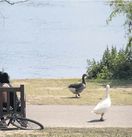  ?? CHRIS FAIRWEATHE­R/ HUW EVANS AGENCY ?? Roath Park lake, Cardiff