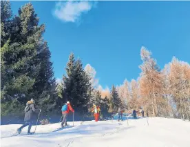  ?? ?? Če vam smučarski zavoji niso pogodu, se lahko v biosfernem parku Noki na raziskovan­je zasneženih pobočij podate s krpljami.