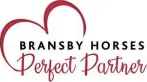  ??  ?? Could you be a Bransby Family Perfect Partner? Find out more by visiting bransbyhor­ses.co.uk/rehoming.