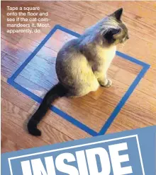  ??  ?? Tape a square onto the floor and see if the cat commandeer­s it. Most, apparently, do.