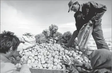  ?? DONG ZHIZHENG / FOR CHINA DAILY ?? Farmers load potatoes they harvested on a cart in Dingxi, Gansu province.
