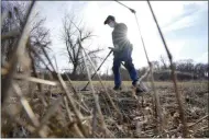  ?? STEVEN SENNE ?? Amateur historian Jim Bailey uses a metal detector to scan for Colonial-era artifacts in a field, Thursday, March 11, 2021, in Warwick, R.I. In 2014, Bailey, who holds a degree in anthropolo­gy from the University of Rhode Island, found a 17th-century Arabian silver coin at a farm in Middletown, R.I., that he contends was plundered in 1695 by English pirate Henry Every from Muslim pilgrims sailing home to India after a pilgrimage to Mecca.