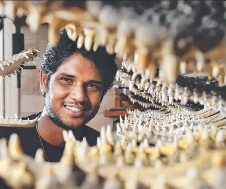  ?? Picture: HELEN ORR ?? Taxidermis­t Keerthi Eswaran sells crocodiles in many forms, including skulls and fully stuffed crocs