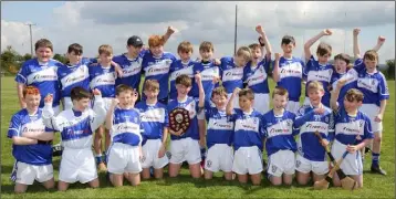  ??  ?? Oylegate-Glenbrien celebrate after being presented with the shield.