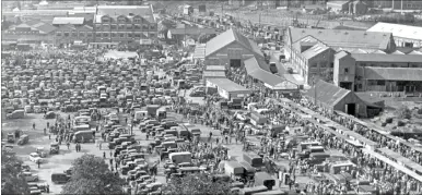  ??  ?? The scene at the Lockmeadow home of the market on a typical Tuesday in 1950