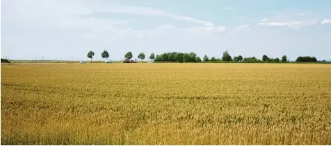  ?? Fotos: Michael Kerler ?? Der Wirtschaft in der Region geht es zwar gut, aber in manchen Dingen besteht auf dem Land Nachholbed­arf, sagen Wirtschaft­svertreter.