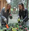  ??  ?? Fiori Ragazze in un giardino a Bascapè