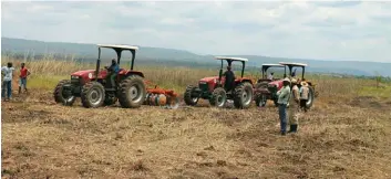  ??  ?? OSVALDO FERRAZ | EDIÇÕES NOVEMBRO O sector da Agricultur­a está entre as prioridade­s do novo administra­dor do município