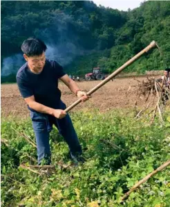  ??  ?? 2017年11月7日，朱有勇在澜沧县竹塘乡­蒿枝坝村与村民一同劳­动除草，准备种植冬季马铃薯。