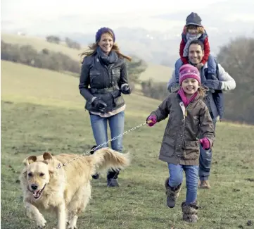  ??  ?? Se il cane è apatico l’arousal va stimolato
Nel mondo della cinofilia è opinione comune che l’arousal debba essere medio e che vada, quindi, stimolato nei cani apatici e abbassato in quelli molto eccitabili, attivi o addirittur­a iperattivi.