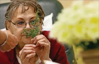  ??  ?? Fran Niemeyer-Murphy, of Fenton, Mo., smells an aromatic clipping to build a therapeuti­c bouquet as she gets treatment on Nov. 30 at Siteman Cancer Center. Jeanne Carbone, a therapeuti­c horticultu­re instructor, offers therapeuti­c horticultu­re outreach...