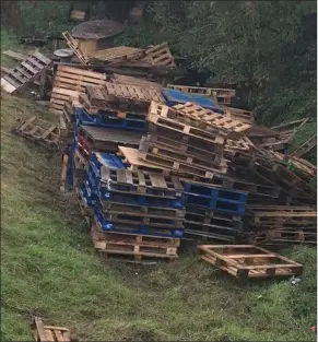  ??  ?? The pallets stored in the ravine between Rathmullen/ Ballsgrove and Hillview.