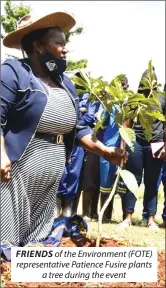  ?? ?? FRIENDS of the Environmen­t (FOTE) representa­tive Patience Fusire plants a tree during the event