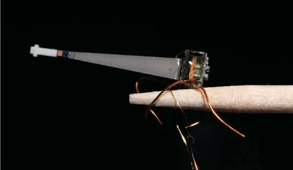  ?? MARIO VALLEJO-MARIN / UMASS LOWELL ?? AGRICULTUR­E HELPER: This prototype robo-buzzer is capable of shaking the stamens of a buzz-pollinated plants and inducing pollen release. The prototype is attached to a toothpick (2mm diameter) using copper wire ‘legs’ for illustrati­on.