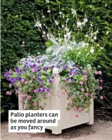  ??  ?? Patio planters can be moved around as you fancy