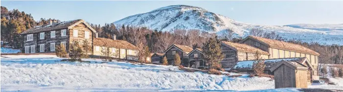  ??  ?? The view from accommodat­ion in Dovrefjell is nothing short of breathtaki­ng, Below, a musk ox, one of the world’s more remarkable mammals.