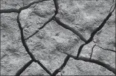  ?? ALLEN J. SCHABEN/LOS ANGELES TIMES ?? A tiny plant struggles to emerge from a cracked, dry lake bed in California.