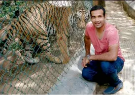  ?? — PTI ?? Irfan Pathan poses with a tiger at the Bannerghat­ta Biological park, near Bengaluru, on Sunday. Irfan joined the ‘Save the Tiger’ campaign, an initiative launched by the Indian cricketers to save the critically endangered species from extinction.