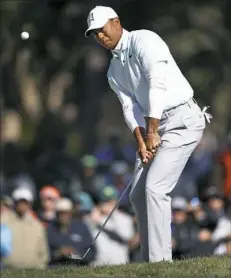  ?? Mike Carlson/Associated Press ?? Tiger Woods chips on the 16th hole during the second round of the Valspar Championsh­ip Friday in Palm Harbor, Fla.