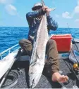  ?? ?? Jason Swan with a ripper 20kg Spanish mackerel.