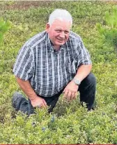  ??  ?? Paul-Eugene Grenon estime avoir perdu plus de 50 % de sa récolte en raison du gel, au LacSaint-Jean.