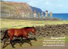  ??  ?? Taking a stroll A horse strolls past the Ahu Tongariki site; (top) petroglyph In Rano Kau