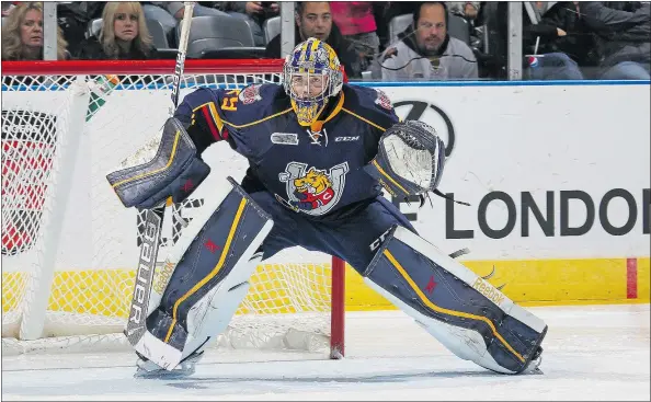  ?? — GETTY IMAGES FILES ?? Barrie Colts goaltender Mackenzie Blackwood has caught the interest of both Edmonton and San Jose for the second round of the NHL draft. ‘It really hasn’t sunk in yet. This is crazy,’ the Thunder Bay native says of his chances.