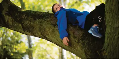  ?? Foto: Jan-Philipp Strobel, dpa ?? Auf Bäume klettern, Fangen spielen oder Verstecken im Wald – das macht nicht nur Spaß, sondern ist auch gut fürs Wohlbefind­en. Kinder, die viel draußen in der Natur spielen, sind später psychisch oft besonders gesund.