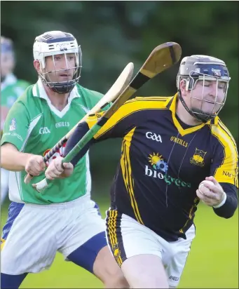  ??  ?? Taghmon-Camross’s Thomas Banville and Adamstown’s John Connors compete in the New Ross district hurling final at Cushinstow­n.