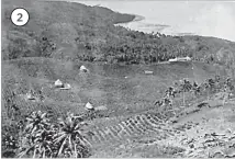  ?? Picture: www.natlib.govt.nz ?? 2. A cotton plantation in 1875, around the time of the epidemic. 2