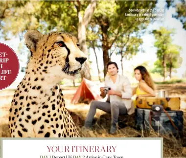  ?? ?? See leopards at the Big Cat Sanctuary or extend your stay to spot them on safari