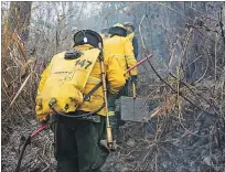  ?? CORTESÍA ?? Efectivos de la Unidad Forestal acudió al lugar a controlar el fuego.