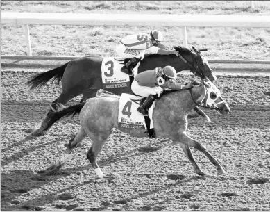  ?? COADY PHOTOGRAPH­Y ?? Essential Quality (No. 4) is still unbeaten but was asked hard by Luis Saez in the Blue Grass.