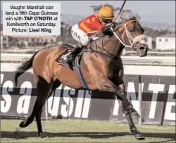  ??  ?? Vaughn Marshall can land a fifth Cape Guineas win with TAP O’NOTH at Kenilworth on Saturday. Picture: Liesl King