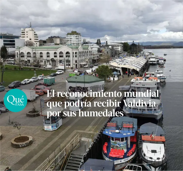  ?? ?? ► La División de Medio Ambiente del Ministerio de Relaciones Exteriores lidera la iniciativa para que Valdivia tenga el reconocimi­ento como “ciudad humedal”.