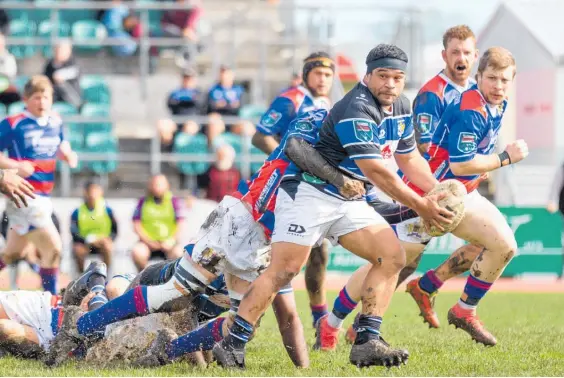  ?? Photo / Blake Davison ?? Whanganui hooker Roman Tutauha, leaving a trail of destructio­n in his wake, looks for someone to take the ball during Saturday’s match against Buller.