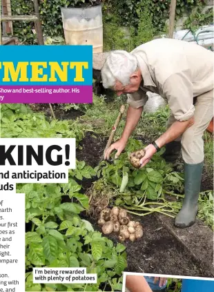  ??  ?? I'm being rewarded with plenty of potatoes