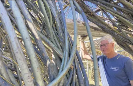  ?? COURTESY OF HOLDEN ARBORETUM ?? Sculpture artist Patrick Dougherty is framed by willow sticks of various sizes that have been woven to create a spontaneou­sly designed structure at the Holden Arboretum, where it can be explored starting Aug. 29.